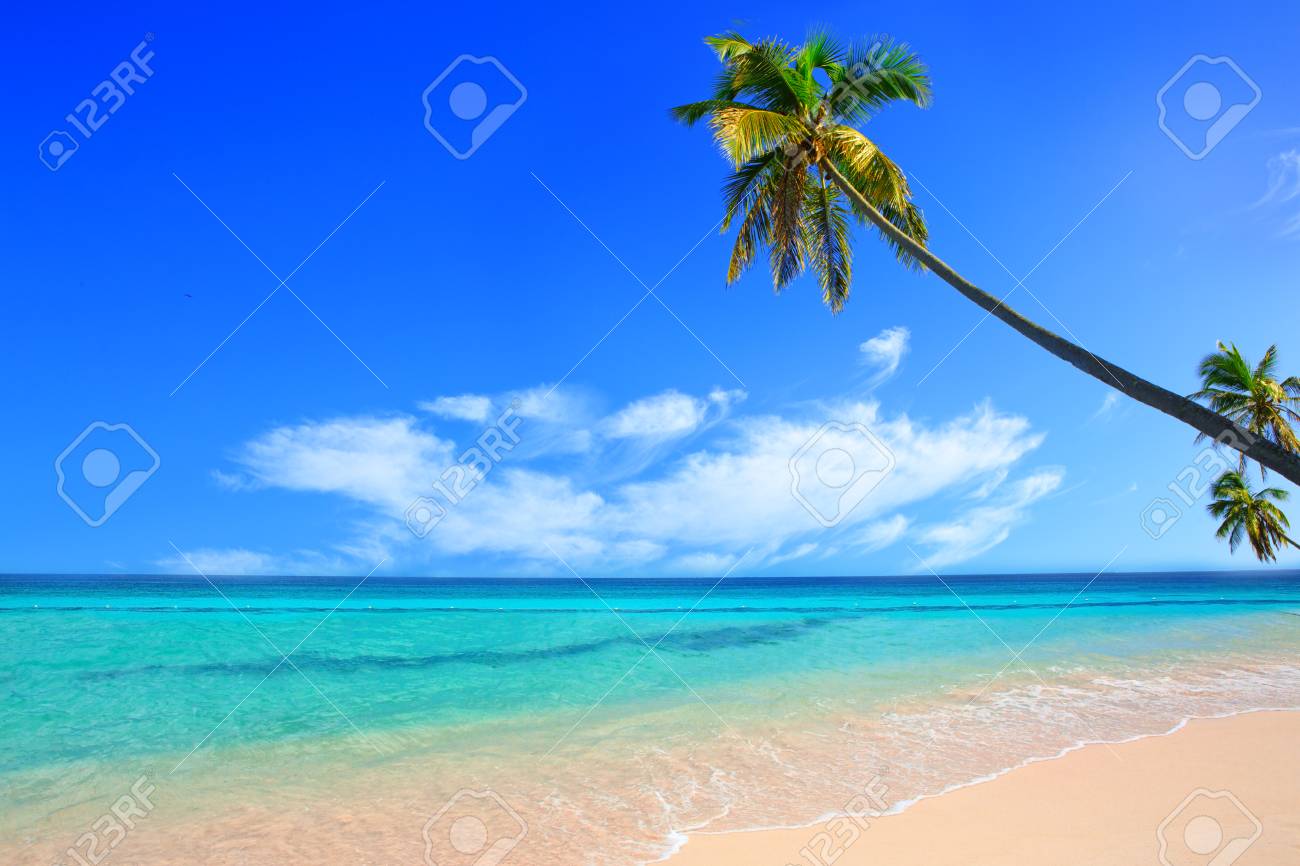 海の風景